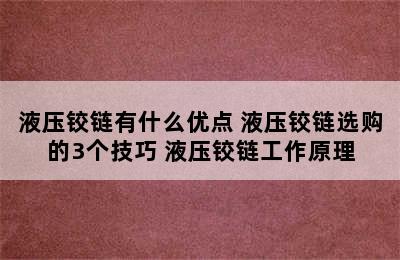 液压铰链有什么优点 液压铰链选购的3个技巧 液压铰链工作原理